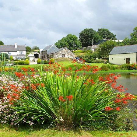 Polhilsa Farm Bed and Breakfast Callington Εξωτερικό φωτογραφία