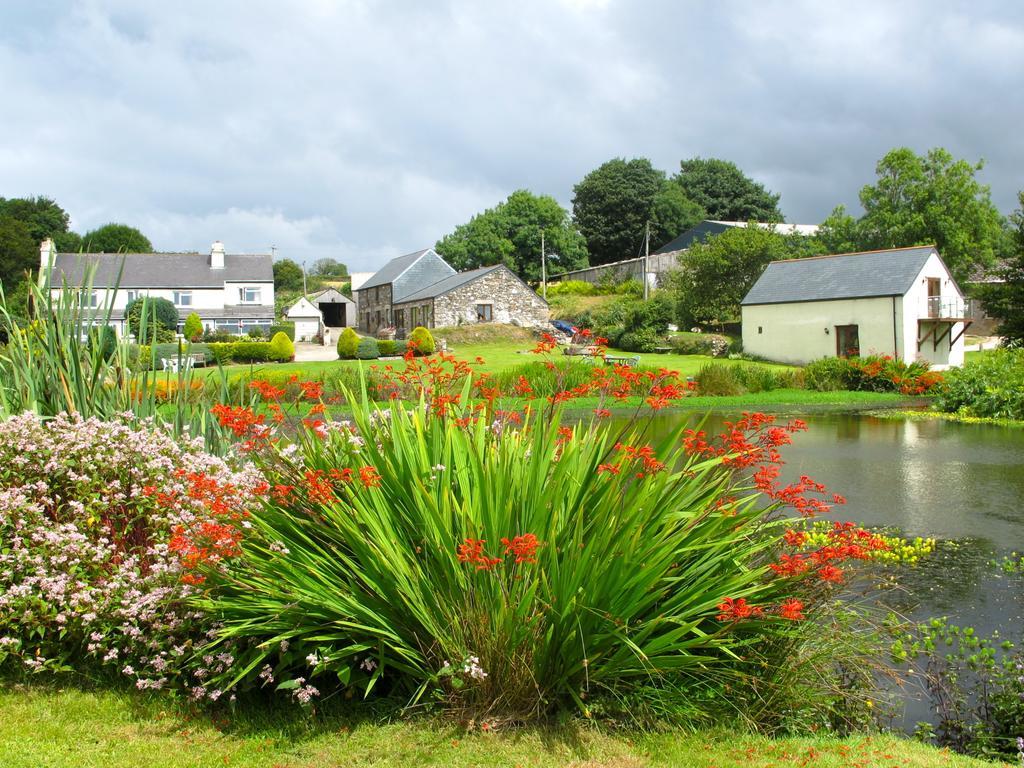 Polhilsa Farm Bed and Breakfast Callington Εξωτερικό φωτογραφία