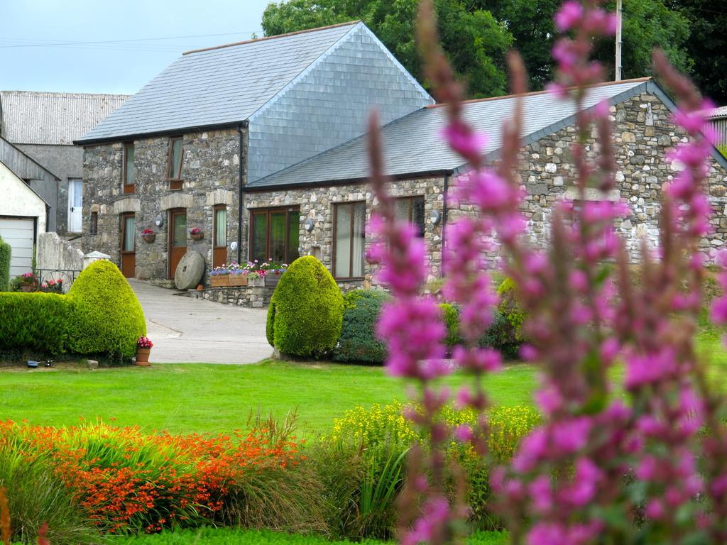 Polhilsa Farm Bed and Breakfast Callington Εξωτερικό φωτογραφία