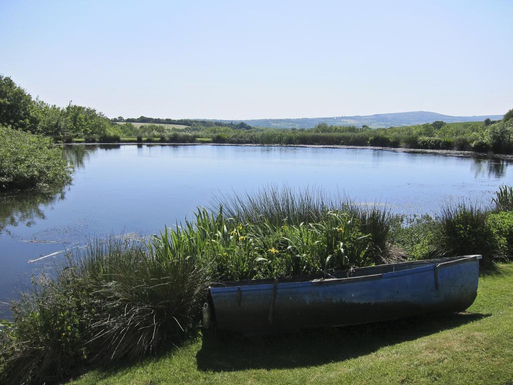 Polhilsa Farm Bed and Breakfast Callington Εξωτερικό φωτογραφία