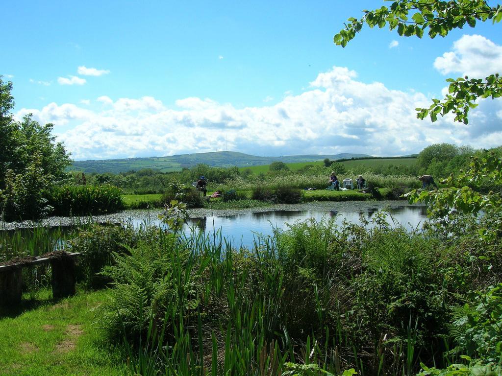Polhilsa Farm Bed and Breakfast Callington Εξωτερικό φωτογραφία